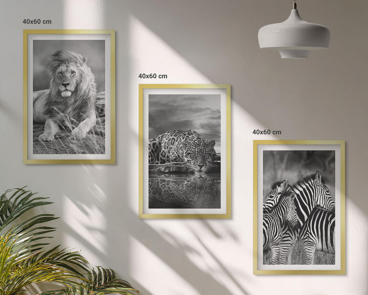 WANDBILDER 3er Set - 40x60 cm Goldrahmen - Wildtiere der Savanne - Goldfarben, Kunststoff (40/60cm) - ArtPrintCave