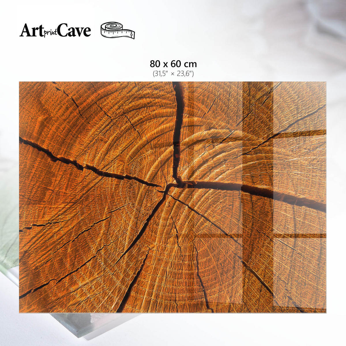 GLASPLATTE 80x60 cm – Holzquerschnitt - Braun, Glas (0.4/80/60cm) - ArtPrintCave