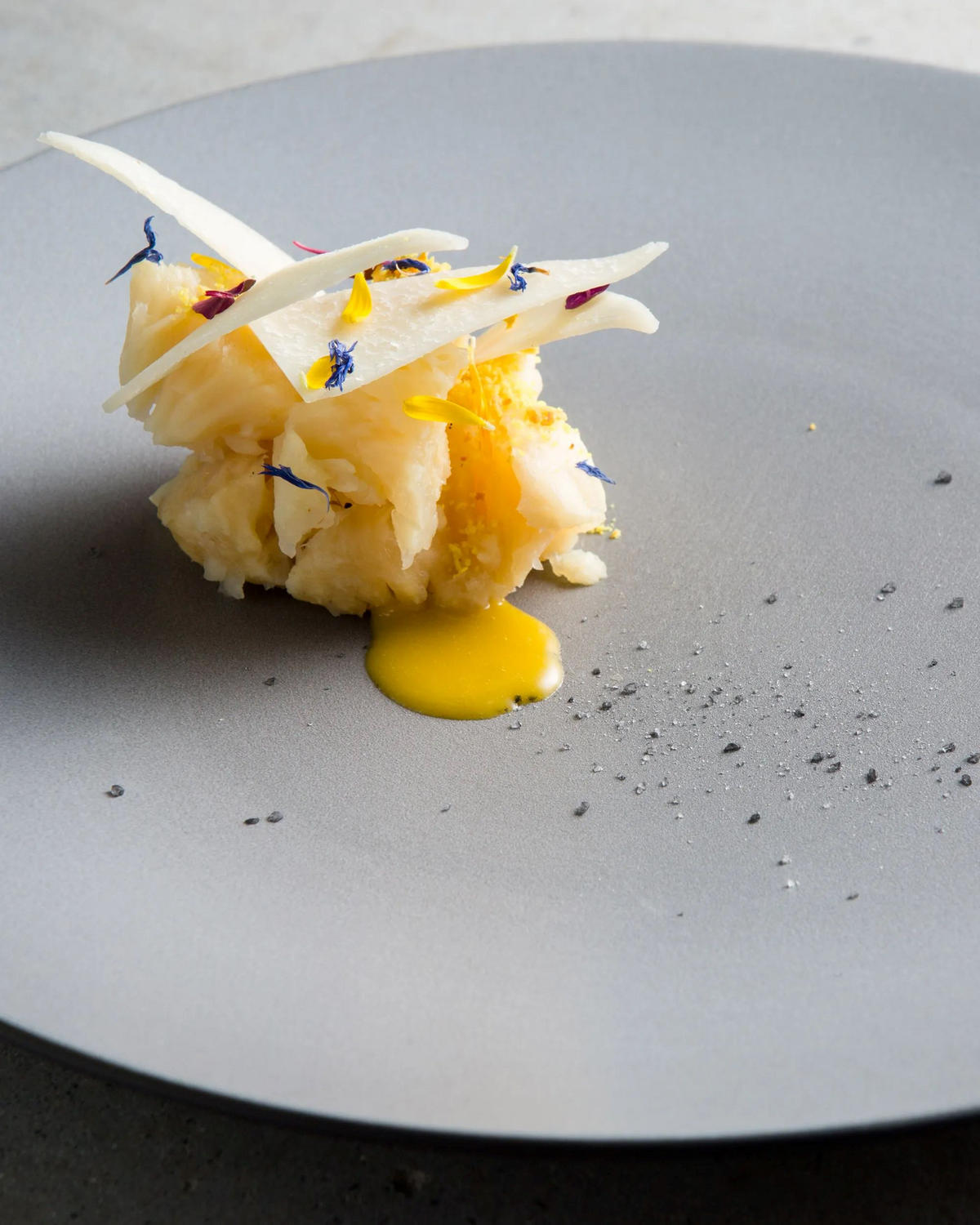 TELLER FLACH EQUINOXE 26 cm Pfeffer - Hellgrau, Keramik (26cm) - Revol Porcelaine France