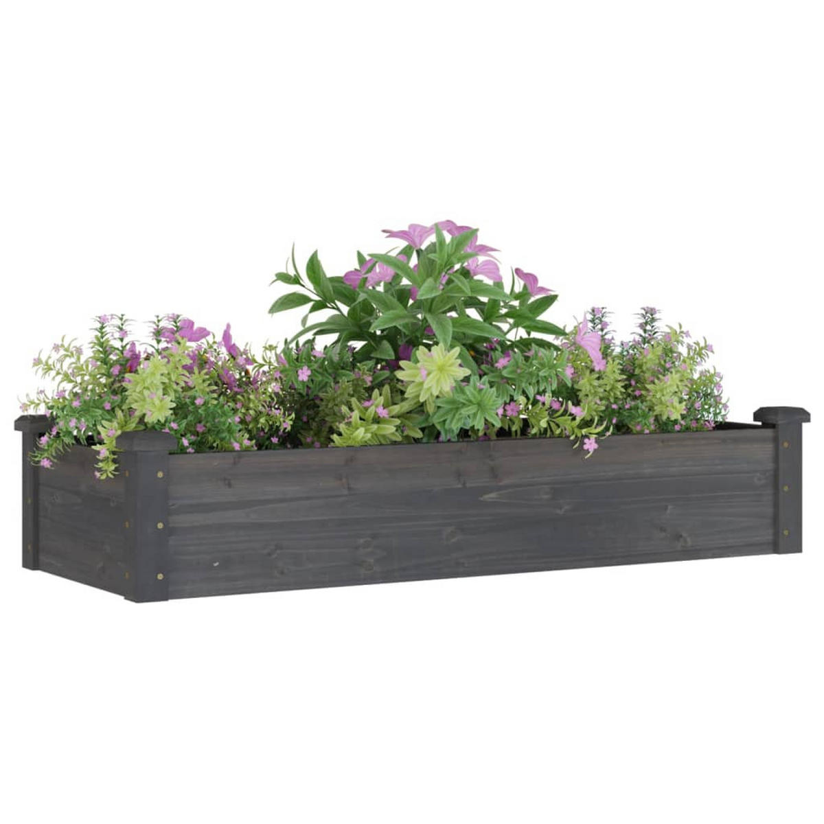 HOCHBEET mit Einsatz Grau 120x45x25 cm Massivholz Tanne - Grau, Holz (45/25/120cm) - furnicato