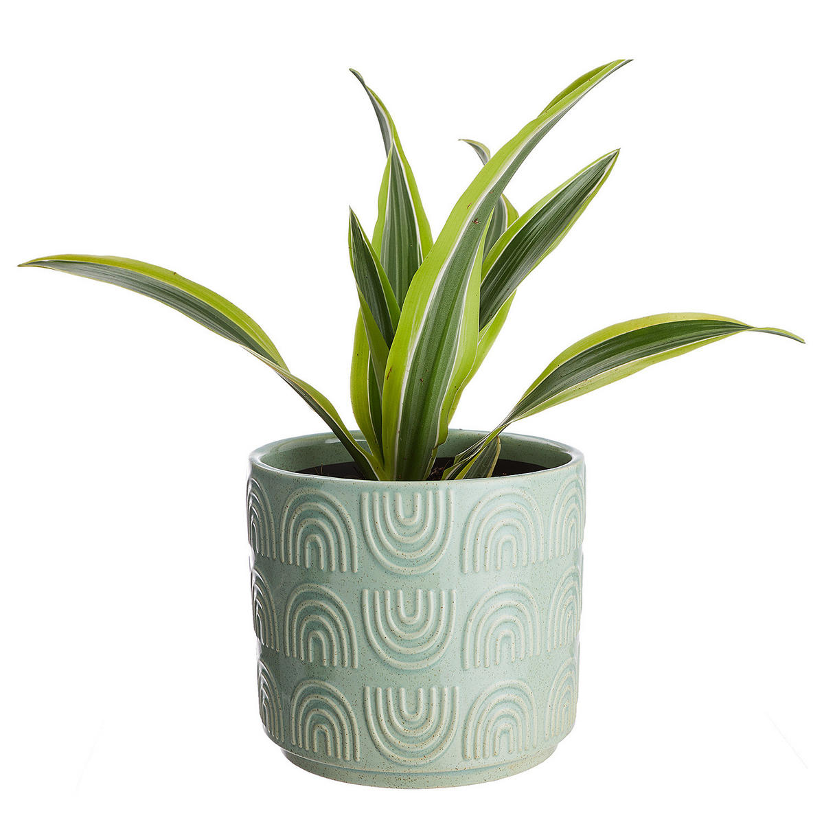 BLUMENÜBERTOPF Rainbow - Pastellgrün, Keramik (14/13/14cm) - Butlers