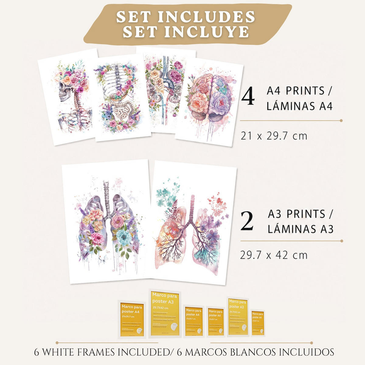 POSTER Set aus 6 Anatomie Mensch Florale Aquarell Drucke und mit Gehirn Lungen Skelett Nieren und Organen Botanische Größe Weißer Rahmen A3 & A4 - Weiß, Papier (29.7/42/3cm) - Nacnic