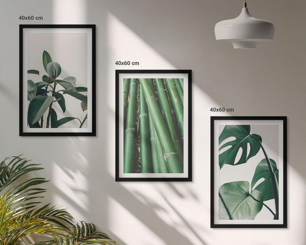 BILDER SET 3er Set - 40x60 cm Schwarzer Rahmen - Bambusstängel und Monstera-Blätter - Schwarz, Kunststoff (40/60cm) - TULUP