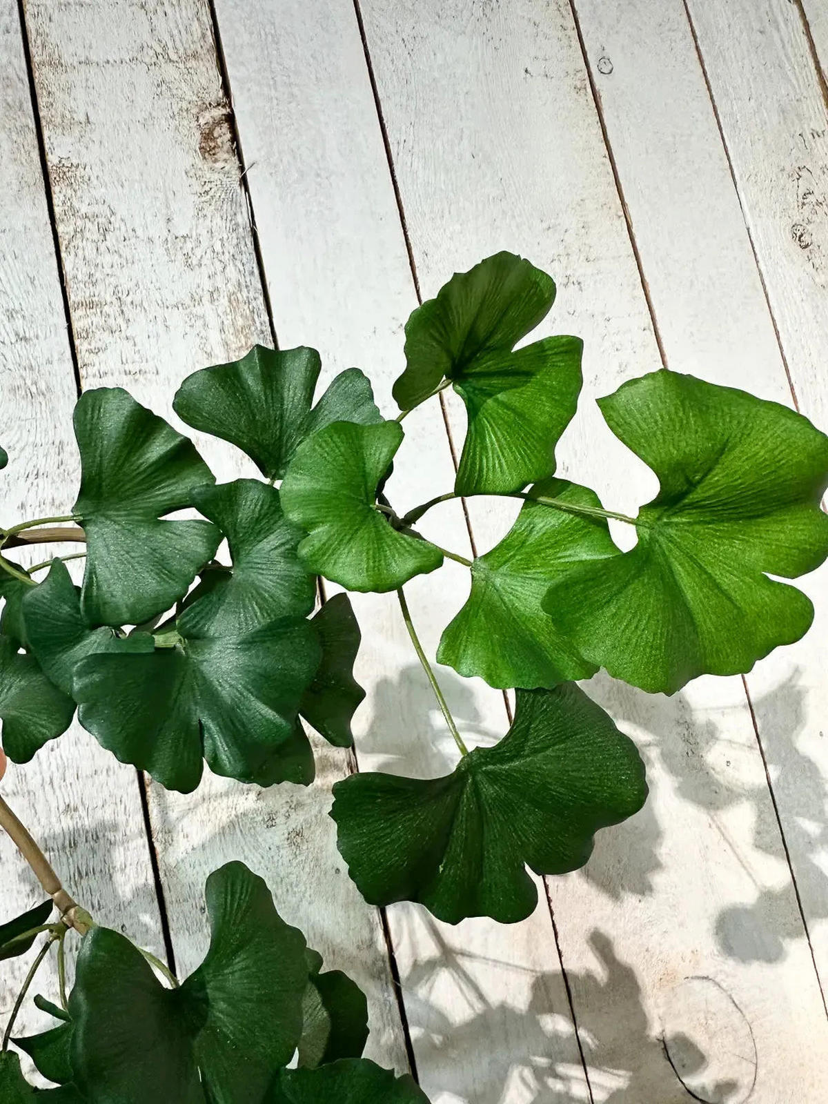 KUNSTPFLANZE Künstlicher Gingko-Zweig - Gabriele 60 cm - Grün, Kunststoff (60cm) - aplanta