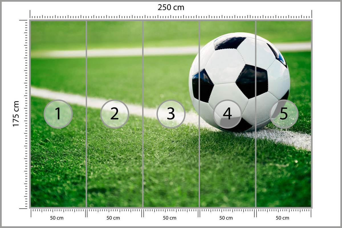 FOTOTAPETE für Jugendzimmer Fußball Grüne Rasen Stadion Sport 250x175 - Schwarz/Weiß, Papier (250/175cm) - Muralo