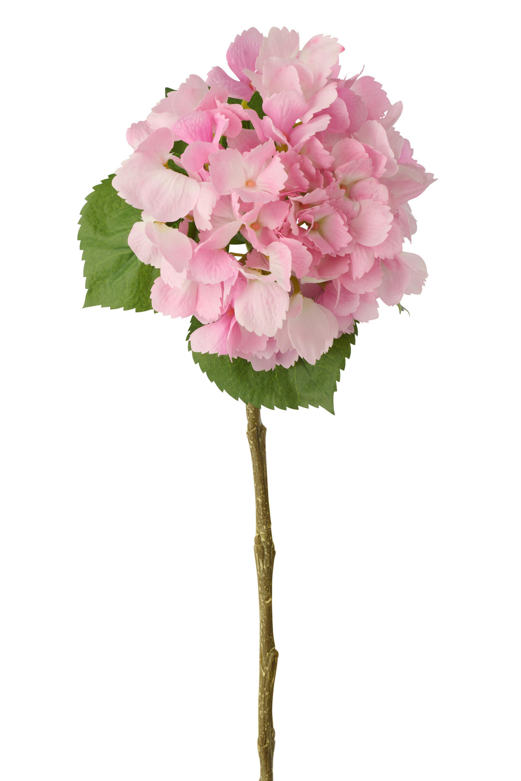 BLUME HORTENSIE GEFÜHLSECHT Rosa - Hellrosa, Kunststoff (62cm) - J-Line