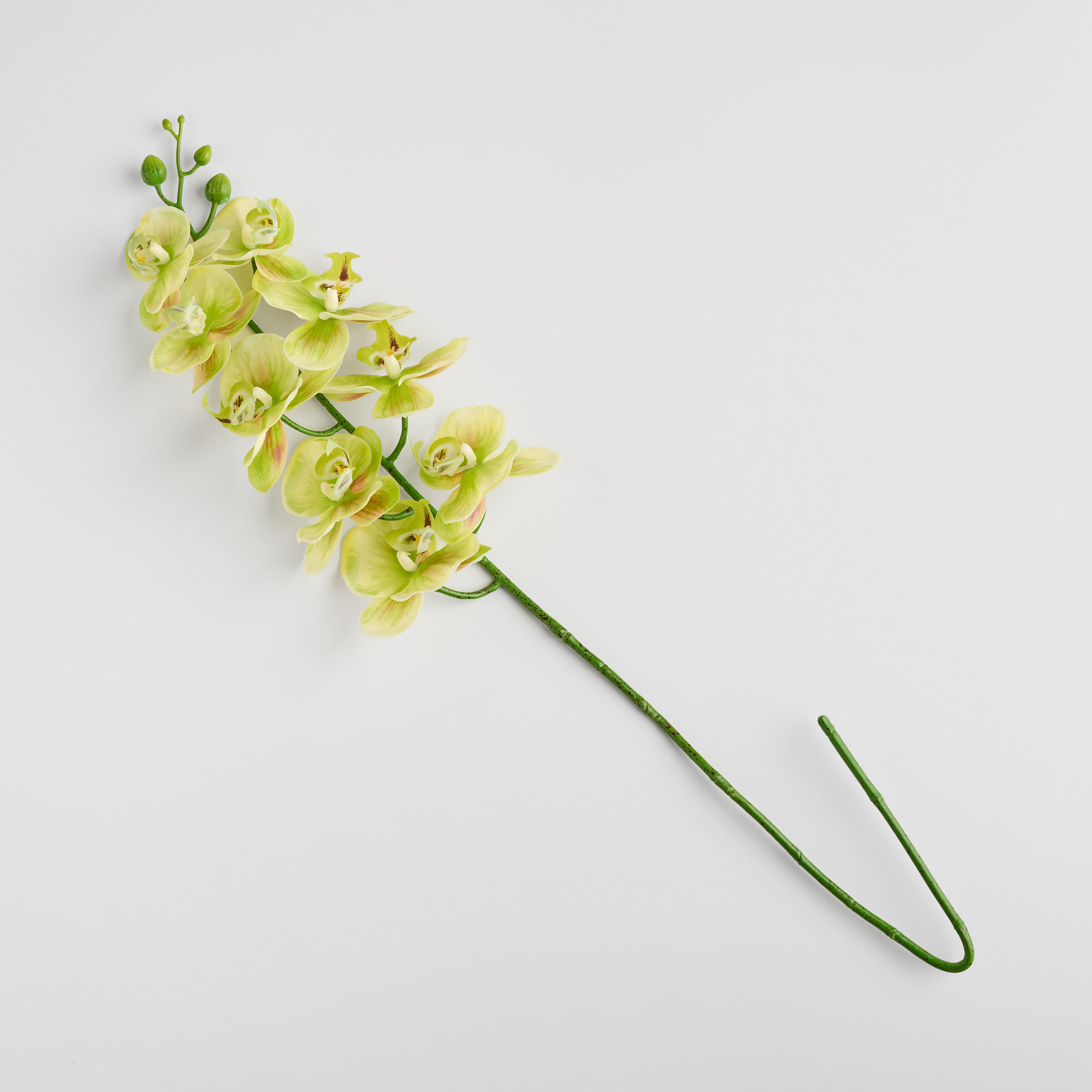 BLUME Orchstem - Hellgrün, Kunststoff (6cm) - home&you