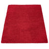 HOCHFLORTEPPICH 80/150 cm Sky 250 - Rot, Textil (80/150cm) - Paco Home