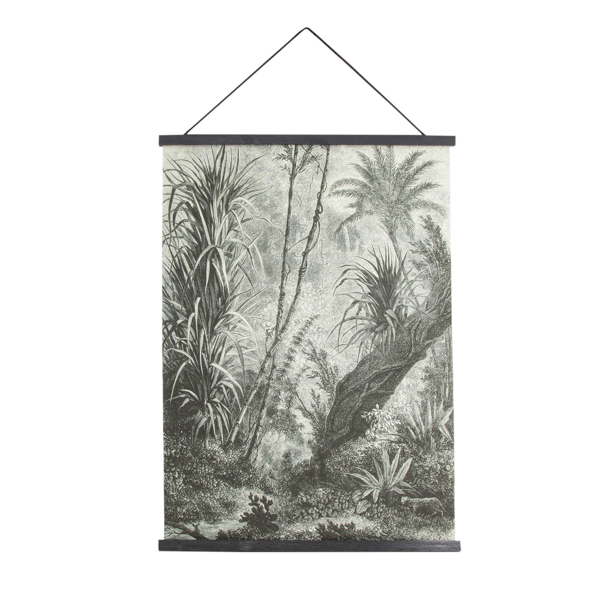 POSTER Dschungel Amazonas - 60x80cm - Schwarz/Weiß, Holz/Textil (60/80/60cm) - Art for the Home