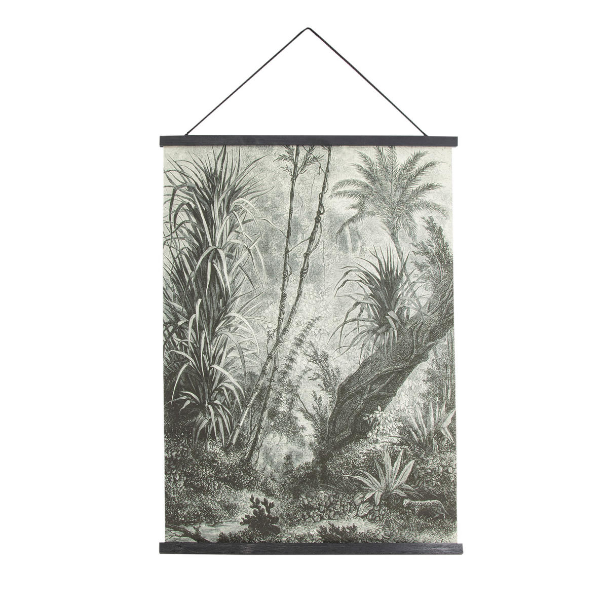 POSTER Dschungel Amazonas - 60x80cm - Schwarz/Weiß, Holz/Textil (60/80/60cm) - Art for the Home