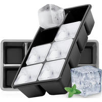 EISWÜRFELFORM 2-teiliges Set Schwarz - Schwarz, Kunststoff (12/5/21cm)