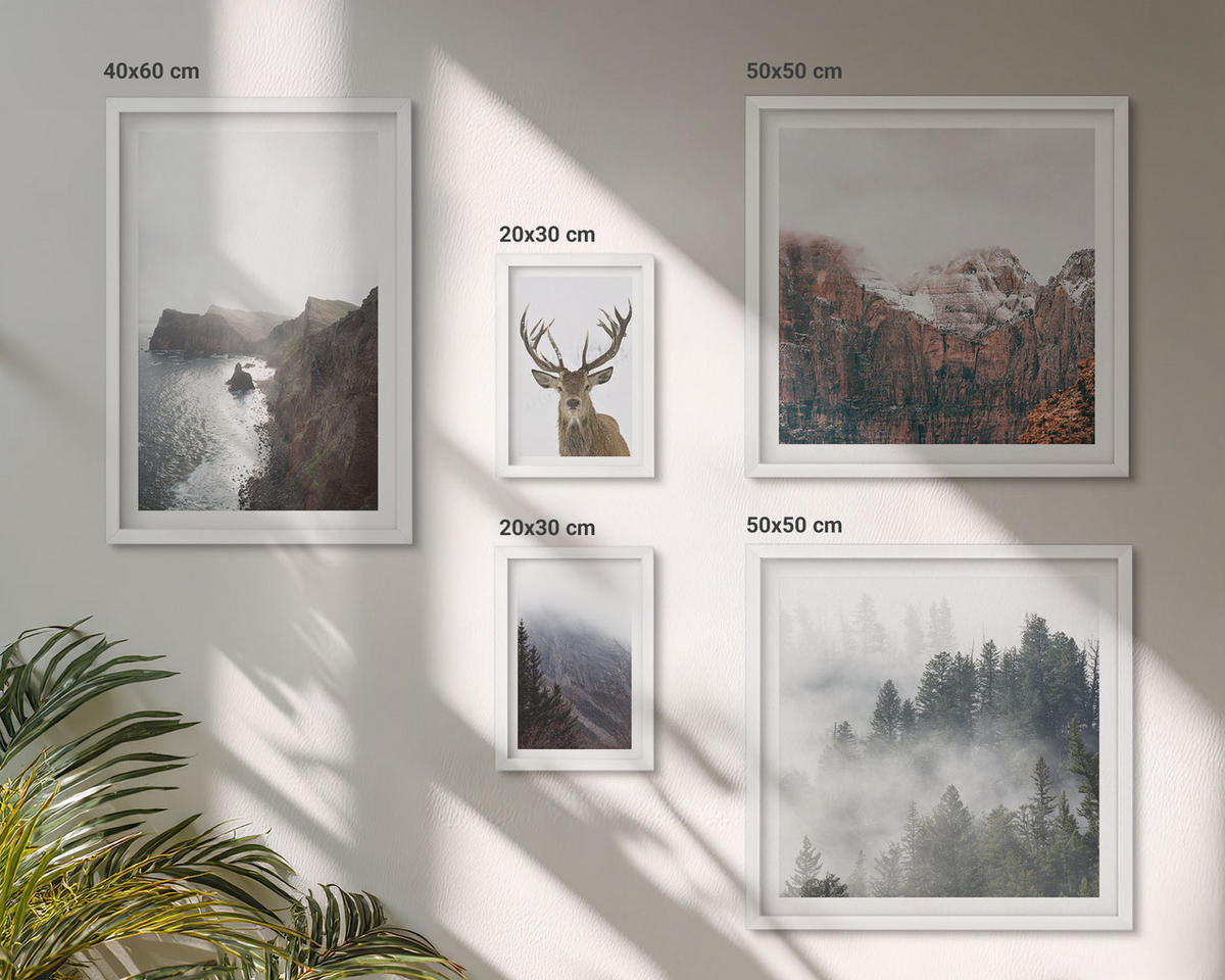 BILDER SET 5er Set - 50x50 cm & 20x30 cm & 40x60 cm Weißer Rahmen - Berglandschaft Nebel Hirsch - Weiß, Kunststoff (40/60cm) - TULUP