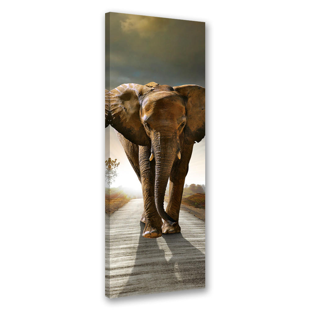 WANDBILD elefant auf der straße - Braun, Textil (30/90cm) - Feeby