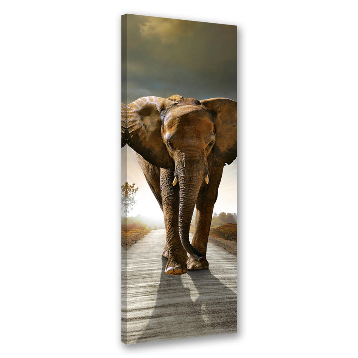 WANDBILD elefant auf der straße - Braun, Textil (30/90cm) - Feeby