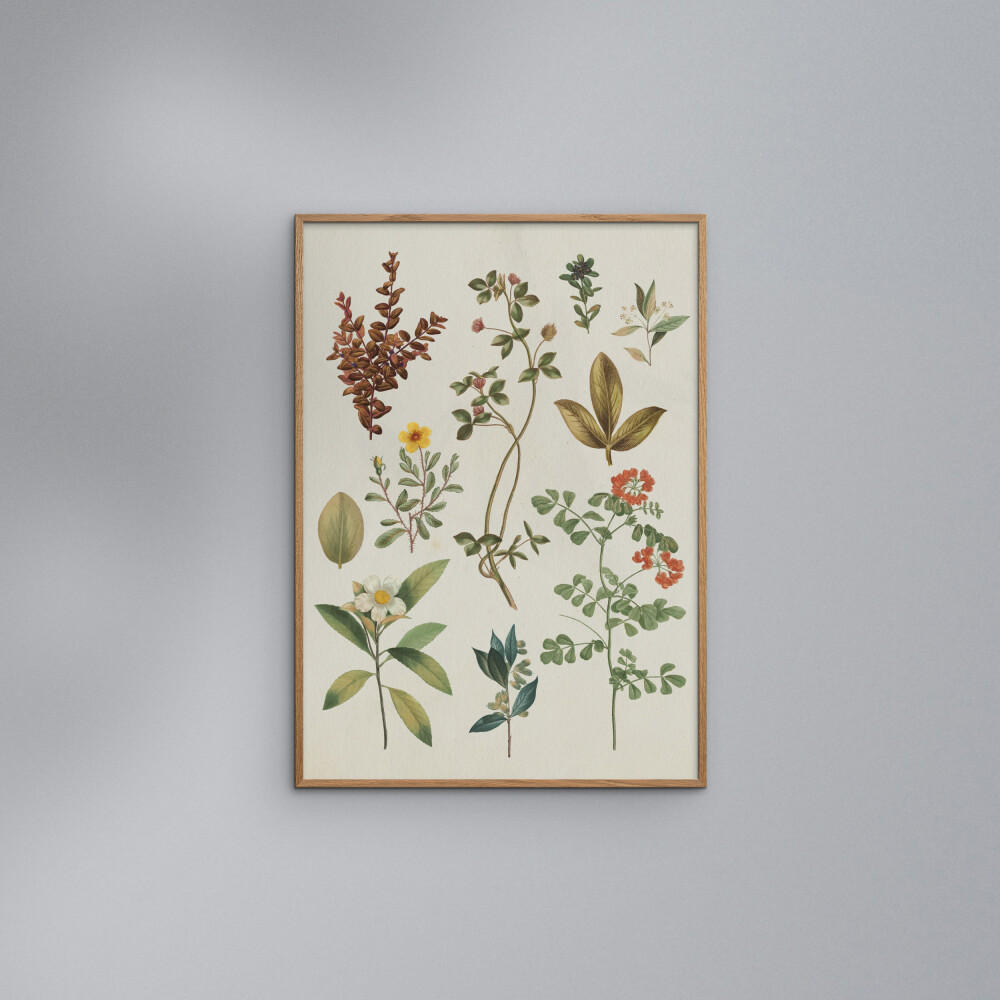 POSTER mit Rahmen Wild Apple - Victorian Garden III - Eichefarben/Grün, Holz/Papier (70/100cm) - Poster&Frame