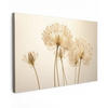 LEINWANDBILD Sonnenlicht - Löwenzahn - Botanisch - Blumen 120x80 cm - Creme, Textil (120/80cm) - MuchoWow