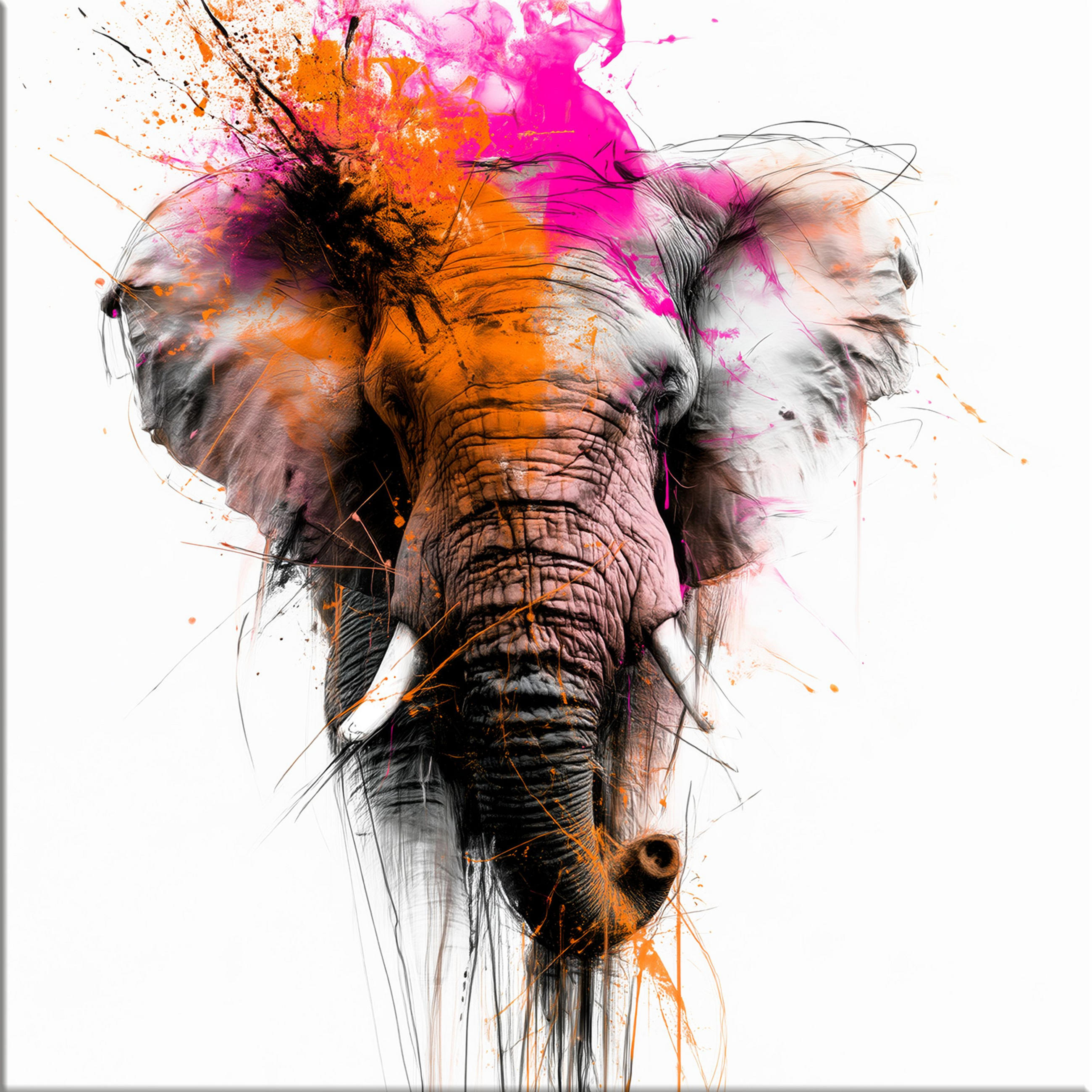 GLASBILD 50x50 cm Elefant orange-pink - Orange, Glas (50/50cm) - artissimo