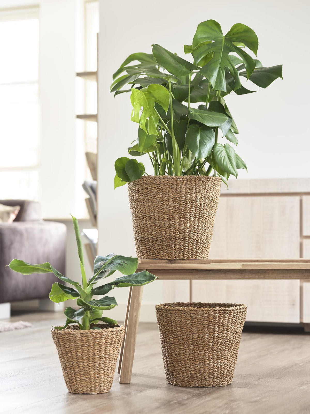 BLUMENTOPF Jip Natur Hellbraun L 30x25cm - Naturfarben, Naturmaterialien (30/25cm) - Green boutiQ