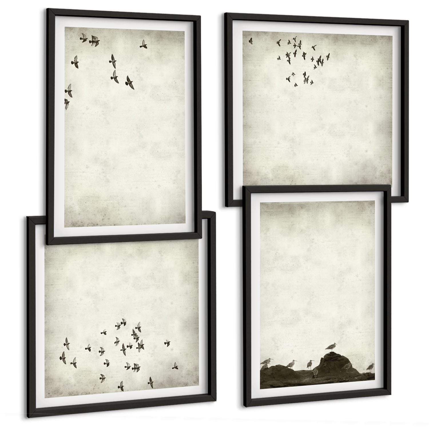 BILDER SET 4er Set - 50x50 cm & 40x60 cm Schwarzer Rahmen - Minimalistische Vogelmalerei - Schwarz, Kunststoff (50/50cm) - TULUP
