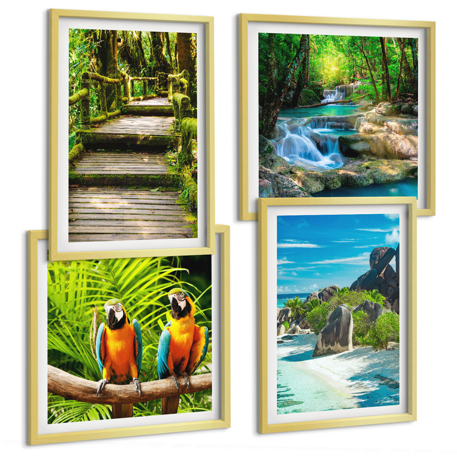 BILDER SET 4er Set - 50x50 cm & 40x60 cm Goldrahmen - Tropischer Wald Papageienwasserfall - Goldfarben, Kunststoff (50/50cm) - TULUP