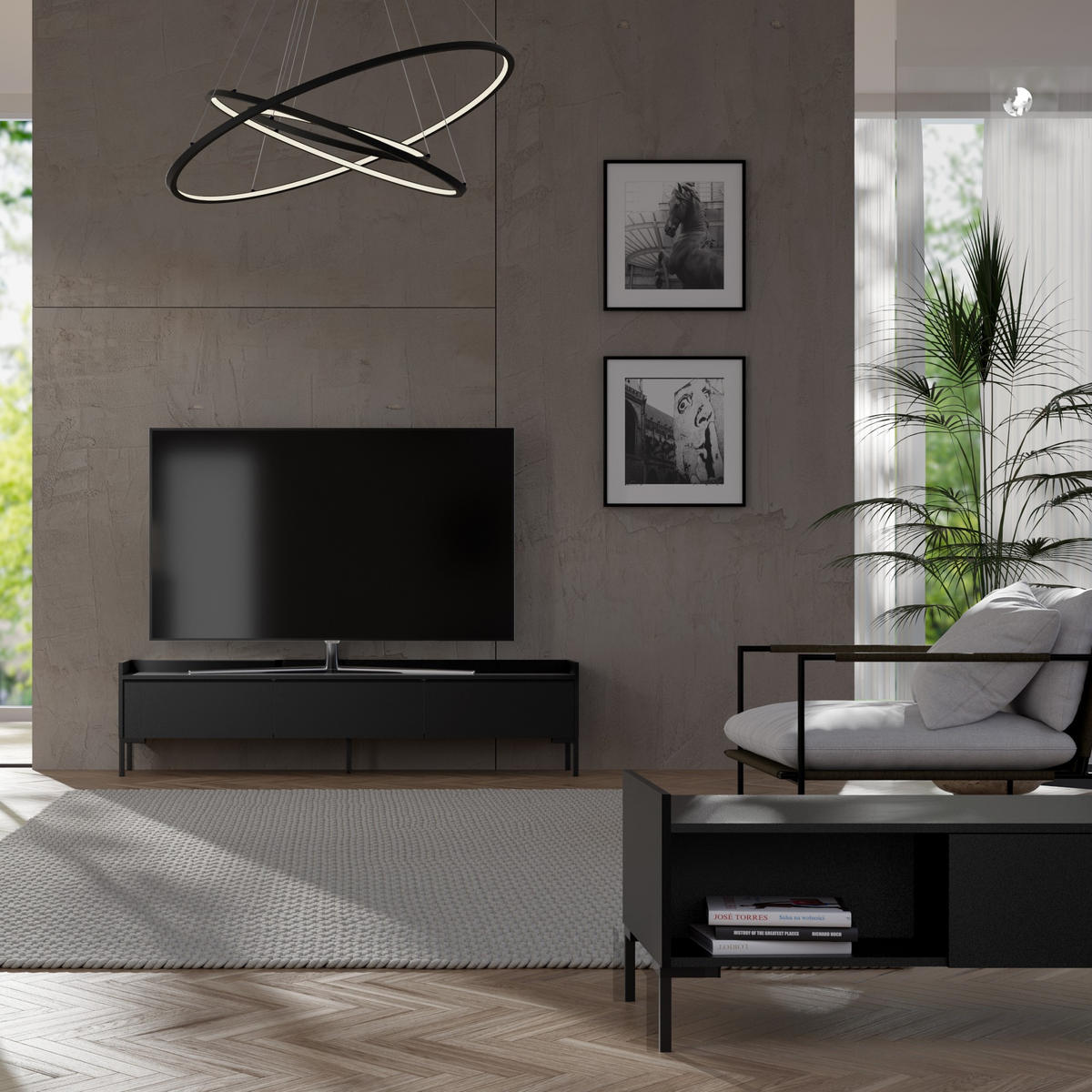 TV-LOWBOARD Liam 150 Schwarz (stehend) - Schwarz, Holzwerkstoff/Metall (150/45/41cm) - mzm24