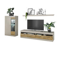 WOHNWAND grau matt, Zinneiche 3-teilig 300 cm, Wohnzimmerschränke mit Soft-Close-Funktion - Eichefarben/Silberfarben, Glas/Holzwerkstoff (300/170/45cm) - Furn.Design