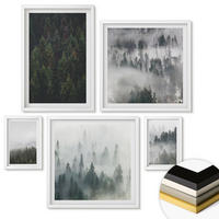 WANDBILDER 5er-Set - 50x50 cm & 20x30 cm & 40x60 cm Weißer Rahmen - Grüne Wälder, neblige Landschaft - Weiß, Kunststoff (40/60cm) - ArtPrintCave