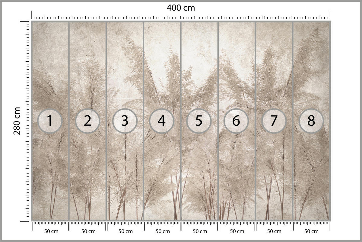 FOTOTAPETE für Schlafzimmer Pampasgras Vintage Beige Boho 400x280 - Beige/Braun, Papier (400/280cm) - Muralo