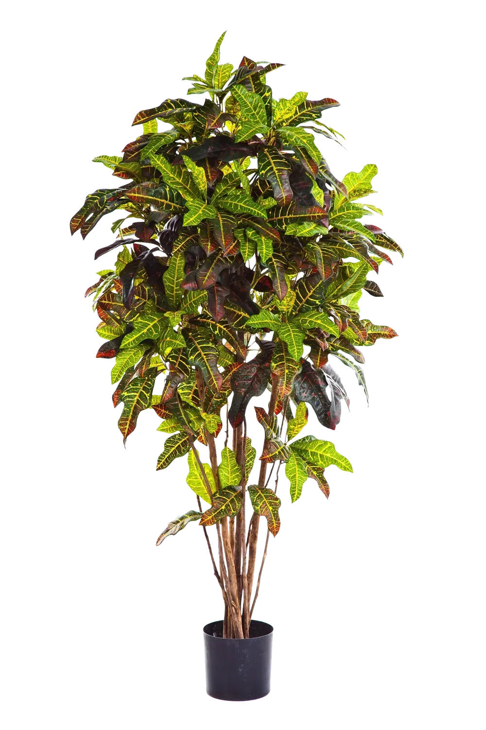 KUNSTBAUM Künstlicher Croton - Ornella 180 cm - Multicolor, Kunststoff (180cm) - aplanta