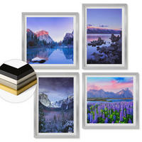 WANDBILDER 4er Set - 50x50 cm & 40x60 cm Silberner Rahmen - Berglandschaften, Wasser, Blumenfeld - Silberfarben, Kunststoff (50/50cm) - ArtPrintCave