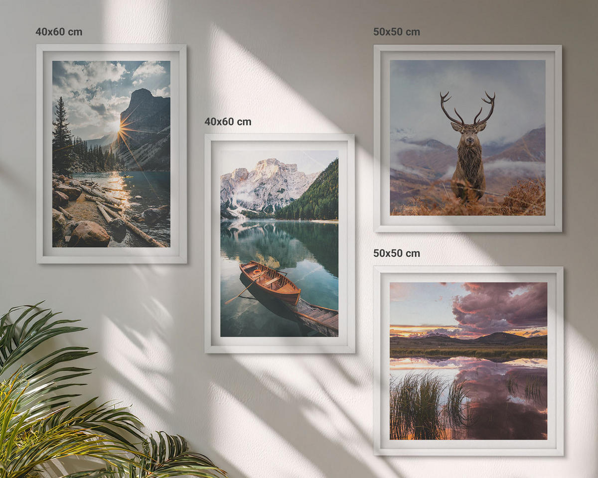 BILDER SET 4er Set - 50x50 cm & 40x60 cm Weißer Rahmen - Bergsee, Bootsfahrt, Sonnenuntergang, Hirsche - Weiß, Kunststoff (50/50cm) - TULUP