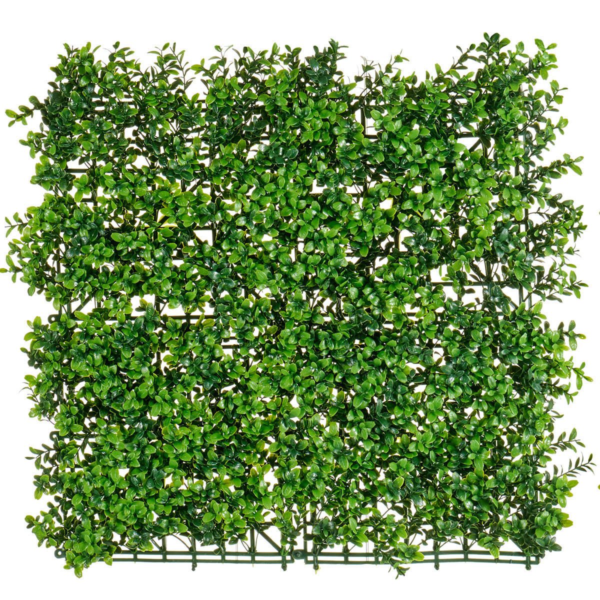 KÜNSTLICHE HECKE 50/50 cm - Grün, Kunststoff (5cm) - Ibergarden