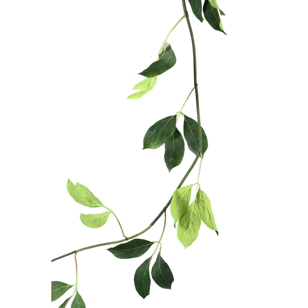 KUNSTBLATT Leaves Grün 260/43/280cm - Grün, Kunststoff (43/280/260cm) - PTMD Collection