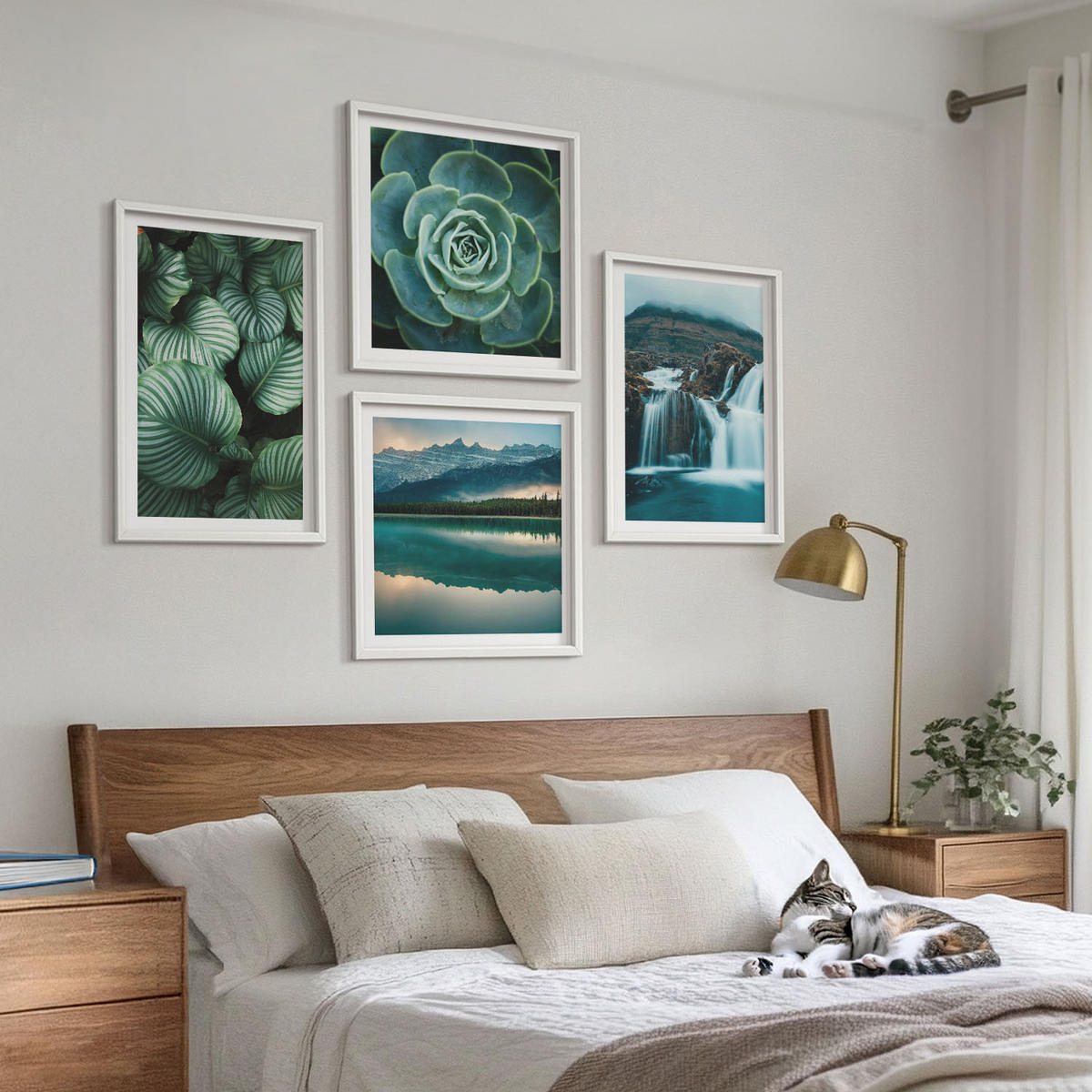 BILDER SET 4er Set - 50x50 cm & 40x60 cm Weißer Rahmen - Nahaufnahmen von Blättern sukkulenter Pflanzen - Weiß, Kunststoff (50/50cm) - TULUP
