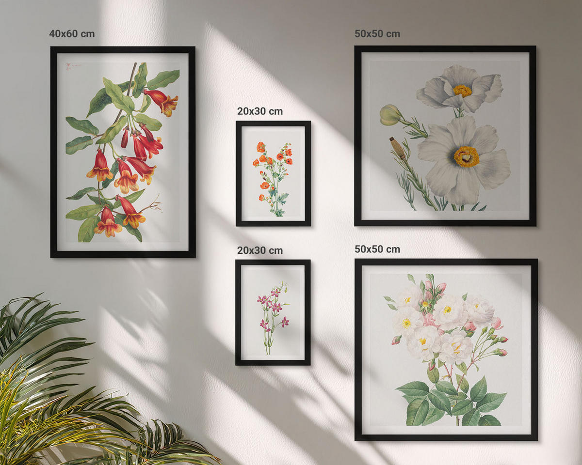 WANDBILDER 5er-Set - 50x50 cm & 20x30 cm & 40x60 cm Schwarzer Rahmen - Blumenmalerei im Retro-Stil - Schwarz, Kunststoff (40/60cm) - ArtPrintCave