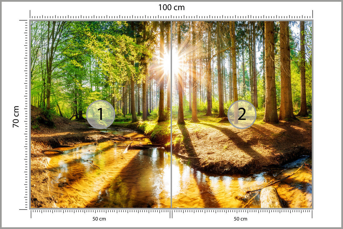 FOTOTAPETE für Wohnzimmer Pflanzen Natur Gras Sonniger Wald Bäume 100x70 - Multicolor, Papier (100/70cm) - Muralo