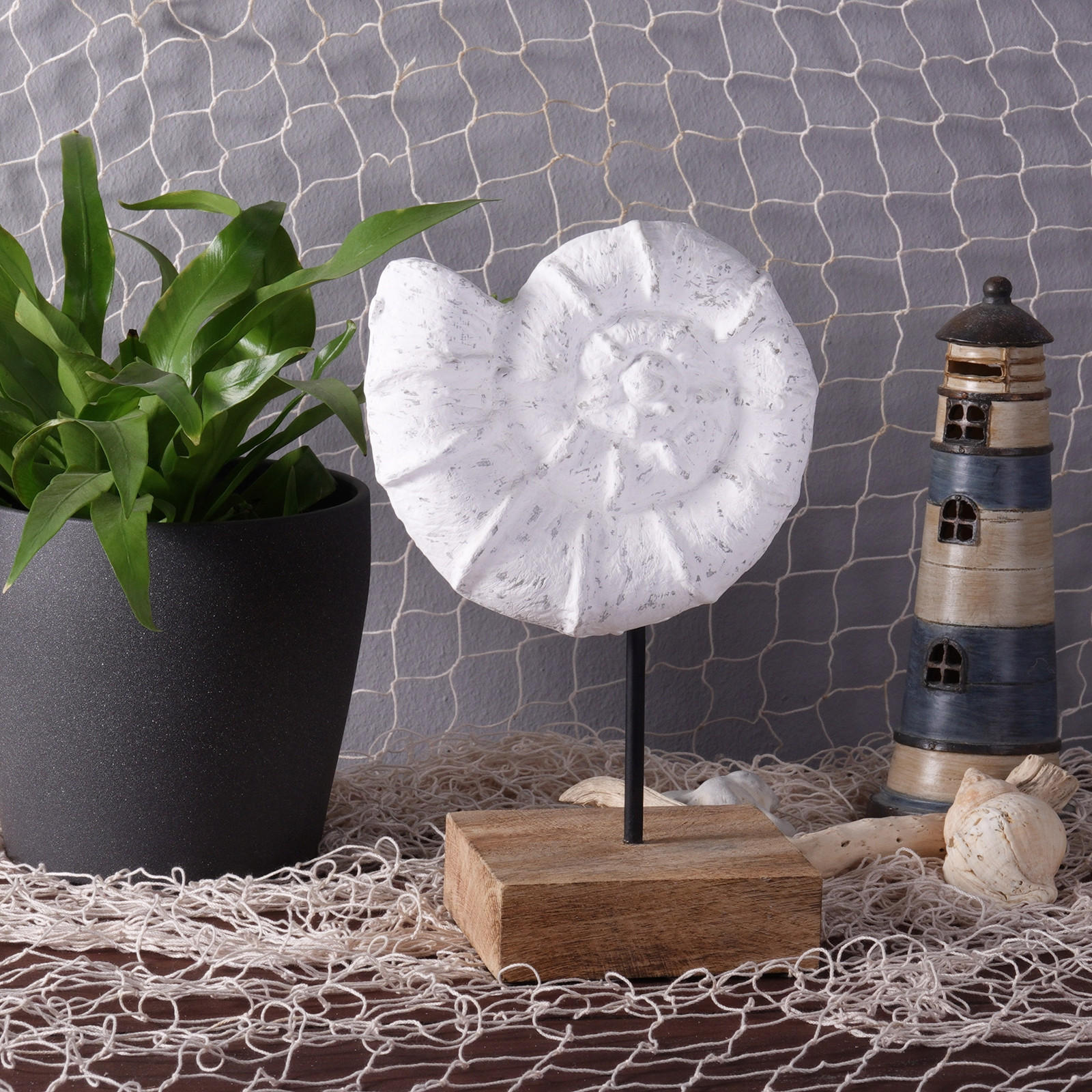 SKULPTUR MUSCHEL Shell Mangoholz-Sockel weiß-natur - Weiß, Holz (15/25/10cm) - CREEDWOOD
