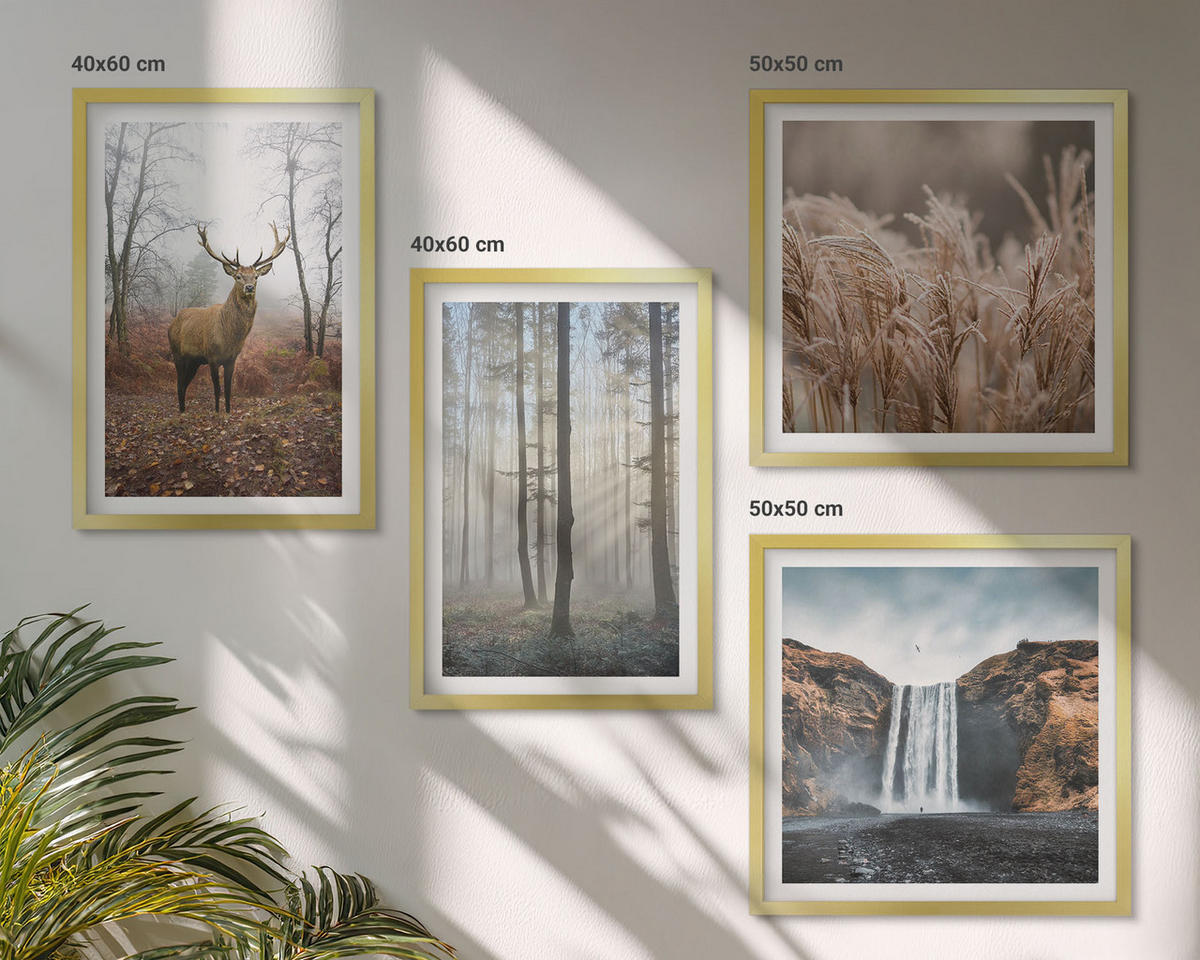 BILDER SET 4er Set - 50x50 cm & 40x60 cm Goldrahmen - Waldlandschaften der Wildnis - Goldfarben, Kunststoff (50/50cm) - TULUP