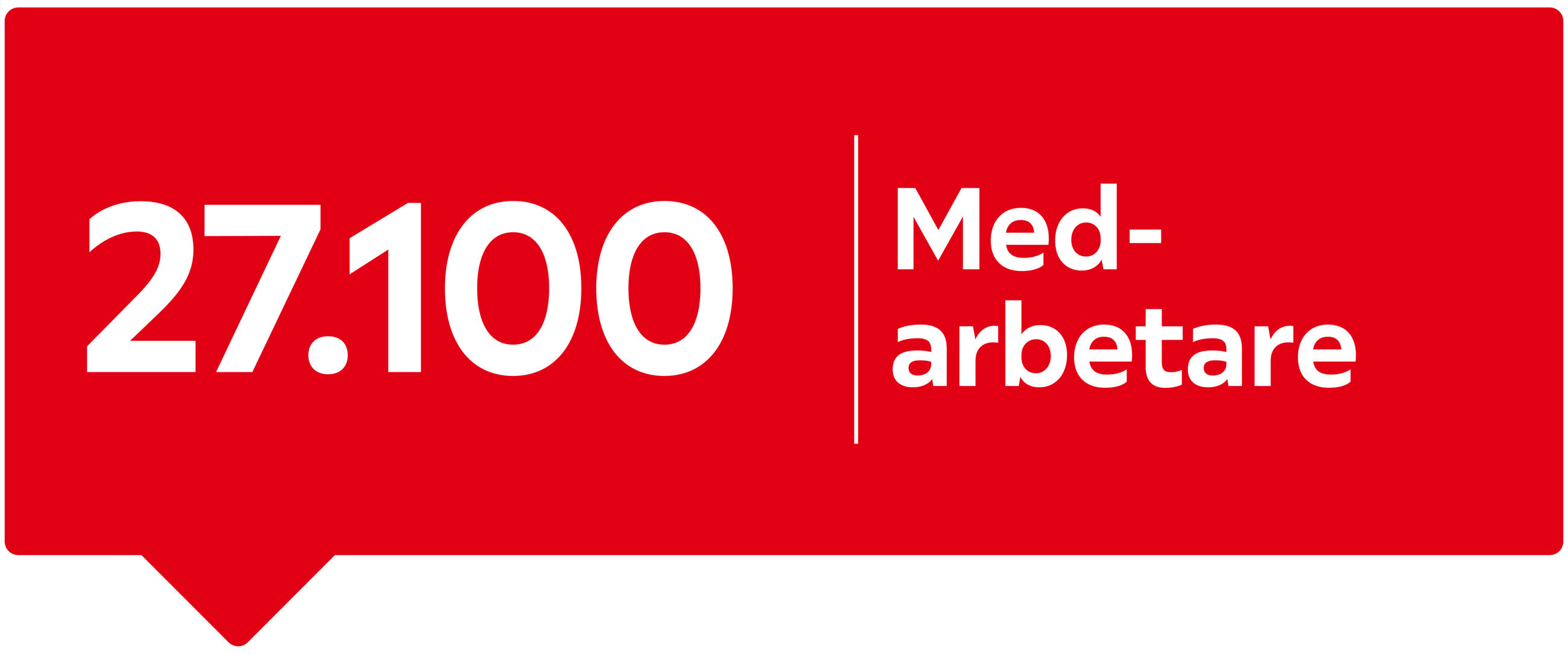 27100 Medarbetare