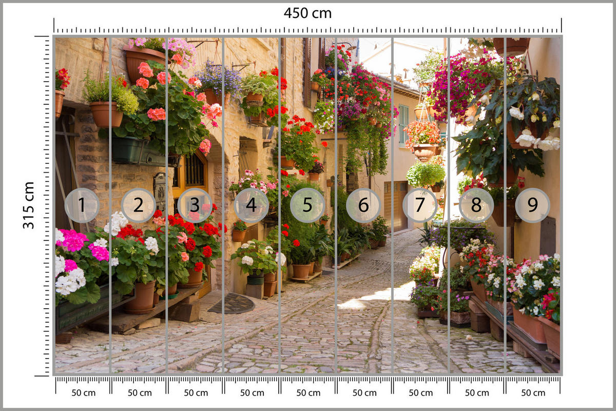 FOTOTAPETE für Wohnzimmer Italienische Steinstraße Blumen Pflanzen 450x315 - Beige/Rot, Papier (450/315cm) - Muralo