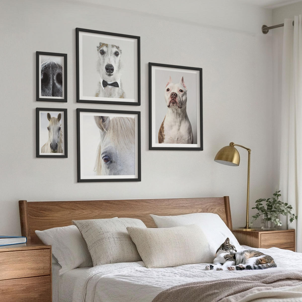 BILDER SET 5er Set - 50x50 cm & 20x30 cm & 40x60 cm Schwarzer Rahmen - Elegante Porträts von Hunden und Pferden - Schwarz, Kunststoff (40/60cm) - TULUP