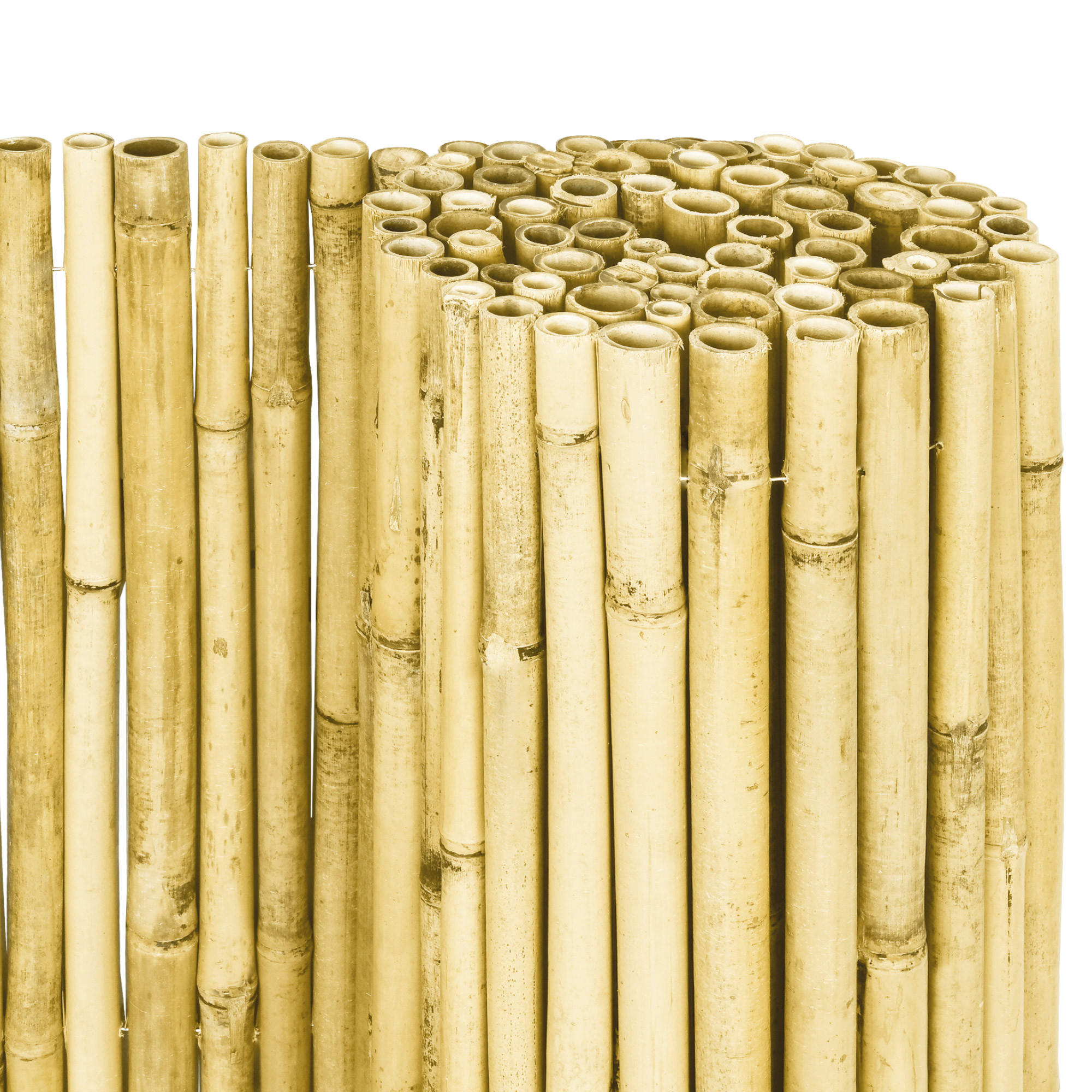 Thumbnail - Sol Royal Sichtschutzzaun, Weiß, Naturmaterialien, 250x160 cm, Sonnen- & Sichtschutz, Sichtschutz Garten, Sichtschutzzäu...