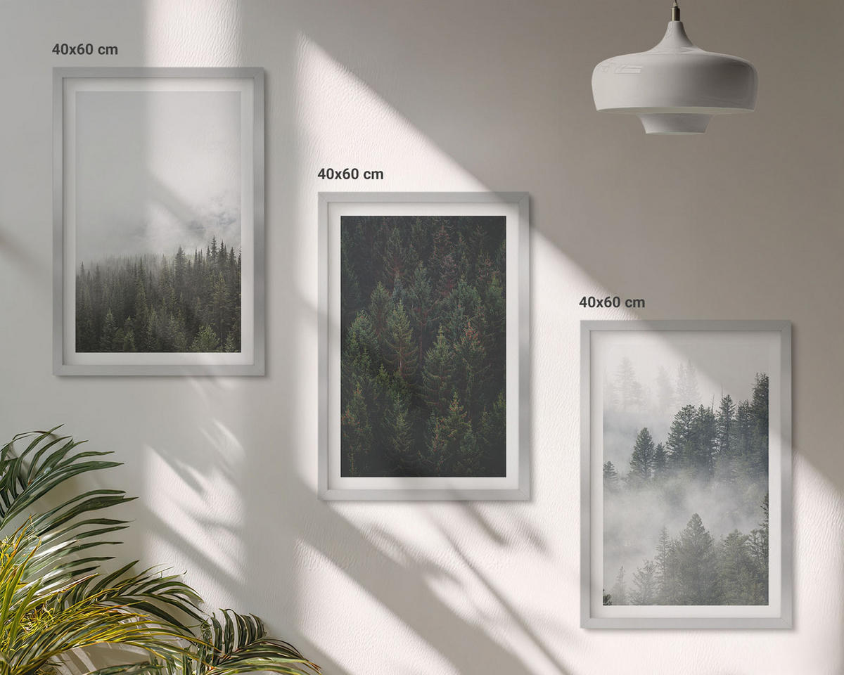 BILDER SET 3er Set - 40x60 cm Silberner Rahmen - Grüne Wälder Nebel Natur - Silberfarben, Kunststoff (40/60cm) - TULUP