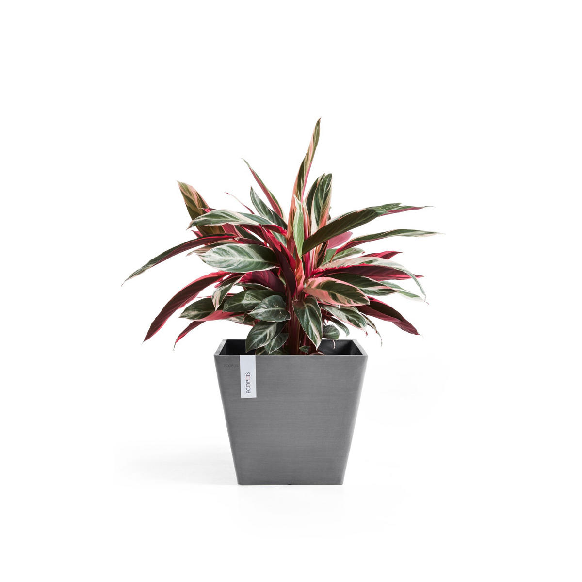 BLUMENTOPF Rotterdam 29,5/29,5/26,4 cm Grau - Grau, Kunststoff (29.5/26.4cm) - Ecopots