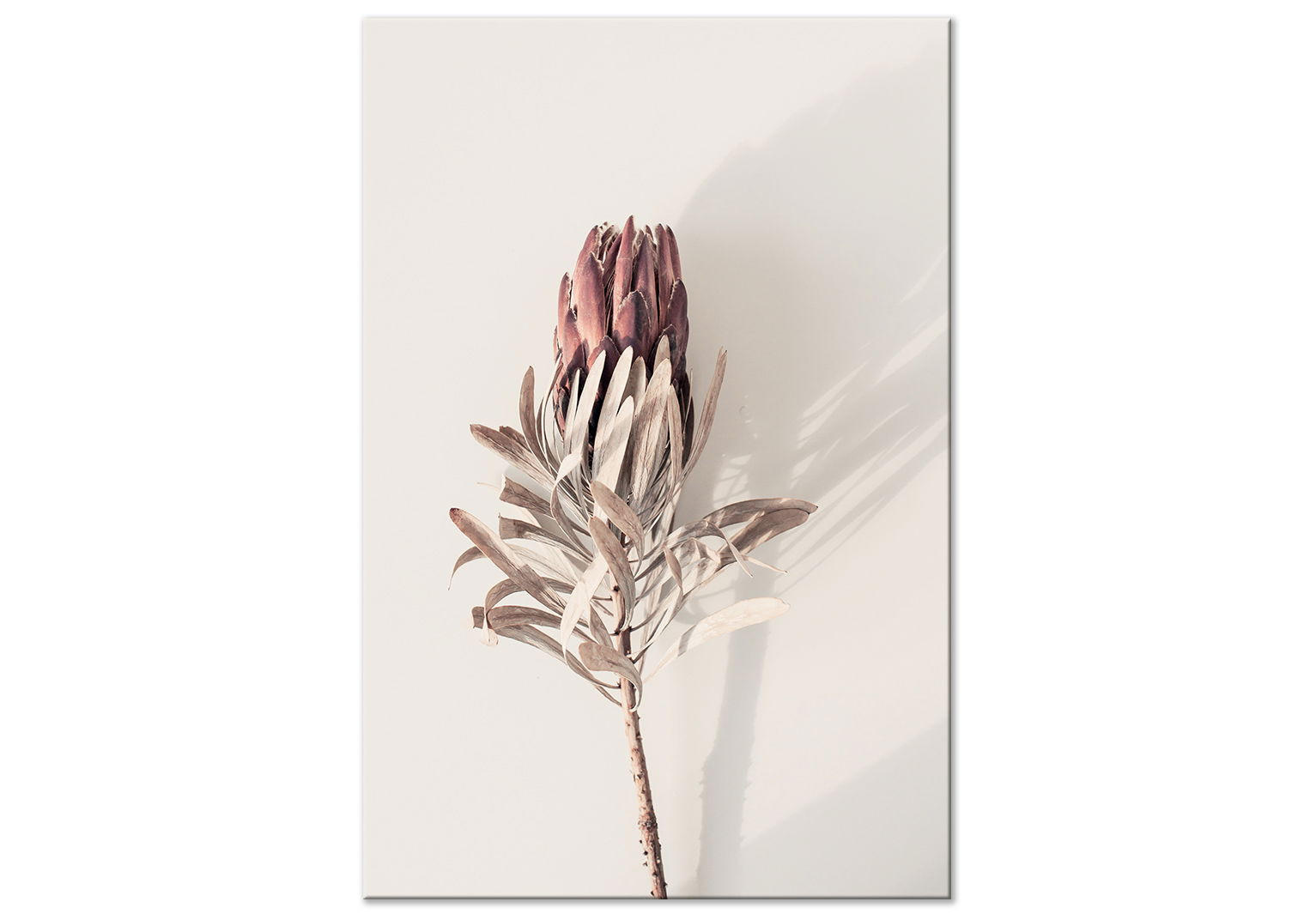 KUNSTDRUCK Beige 40/60 cm - Beige/Rot, Textil (40/60cm) - KUNSTLOFT