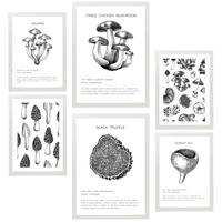 POSTER Set Mit 6 Dekorative Von Pilzarten, Blatt Mit A3 & A4 Weißer Rahmen - Weiß, Papier (29/3cm) - Nacnic