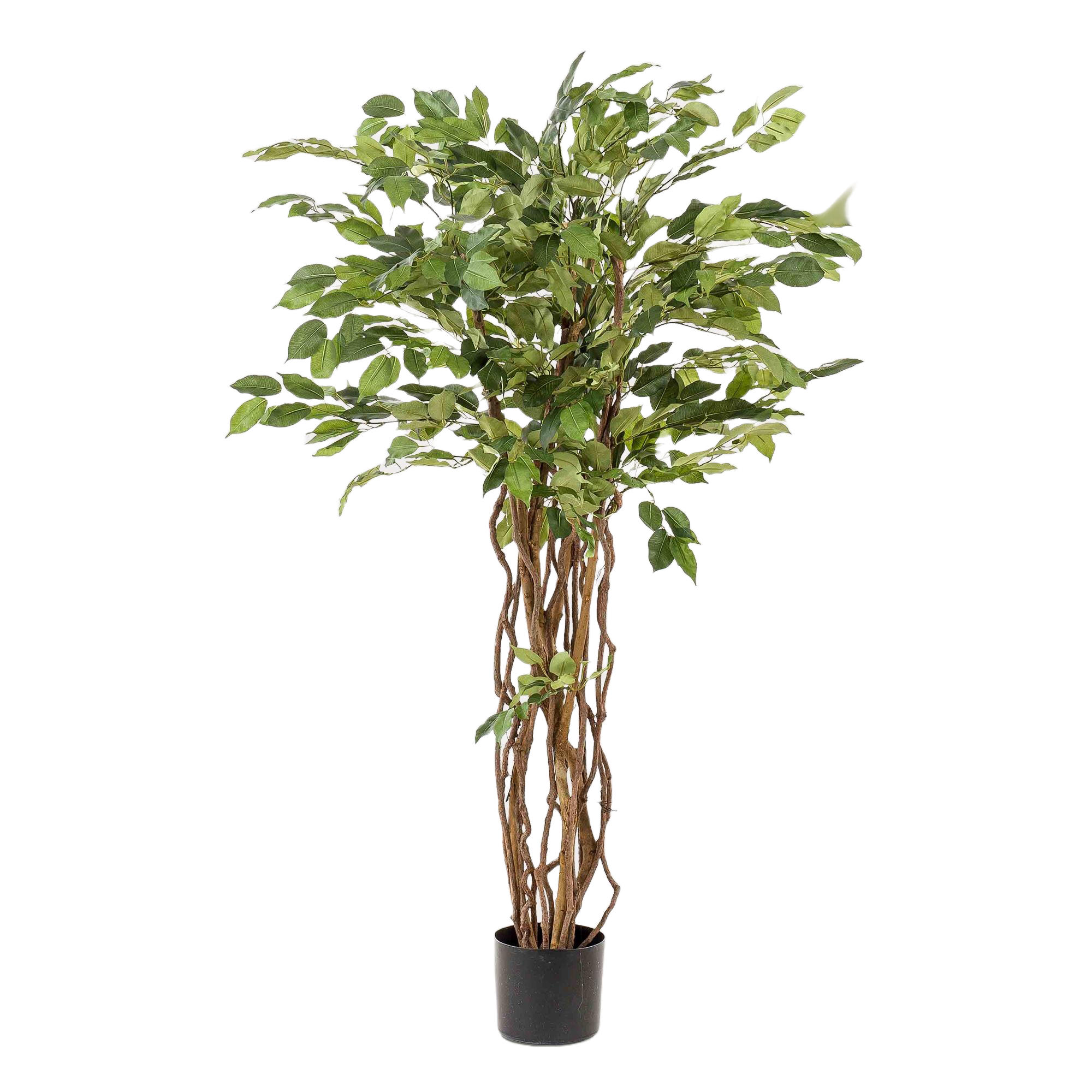 KUNSTPFLANZE Ficus Liana Geigenblattpflanze 140cm - Grün, Kunststoff (140cm) - Green boutiQ