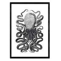 POSTER Octopus A4 Rahmenlos - Klar, Papier (29.7/5/21cm) - Nacnic