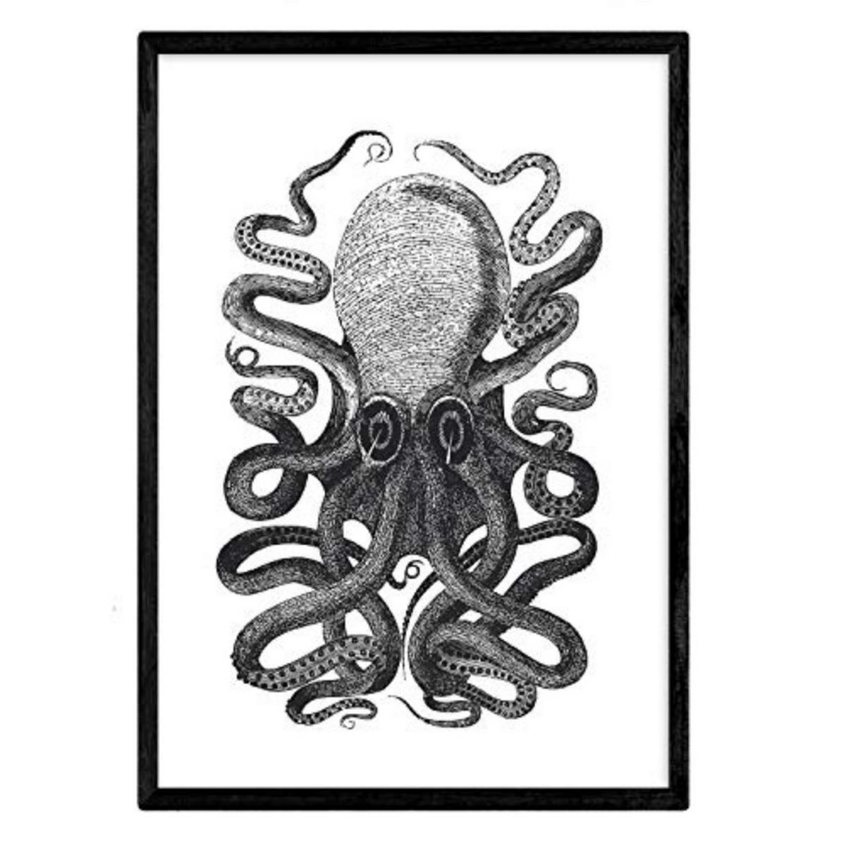 POSTER Octopus A4 Rahmenlos - Klar, Papier (29.7/5/21cm) - Nacnic