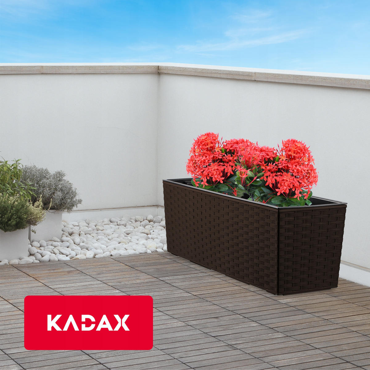 BLUMENKASTEN mit Einsatz 56 cm, Mokka - Mokka, Kunststoff - KADAX